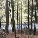Goscinne Art- Dworek Bed & Breakfast 3*