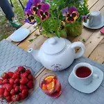 Goscinne Art- Dworek Bed & Breakfast