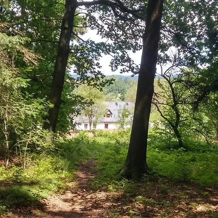 Goscinne Art- Dworek 3*