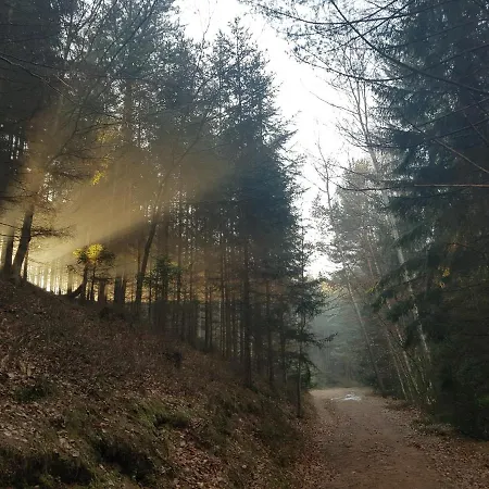 Bed & Breakfast Goscinne Art- Dworek 3*