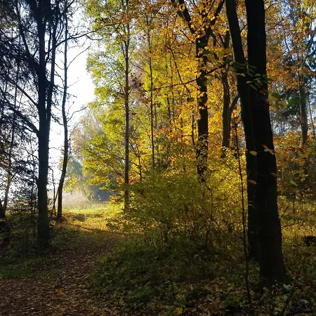 Goscinne Art- Dworek Bed & Breakfast 3*