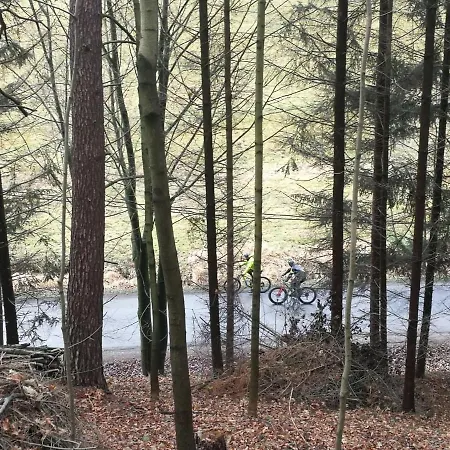 Goscinne Art- Dworek Bed & Breakfast 3*