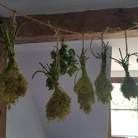 Bed & Breakfast Goscinne Art- Dworek