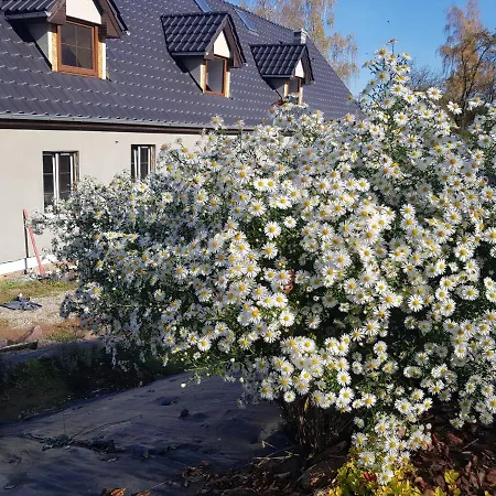 Gościnne Art- Dworek * Kudowa-Zdrój