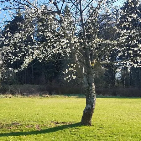 Goscinne Art- Dworek Bed & Breakfast Kudowa-Zdrój