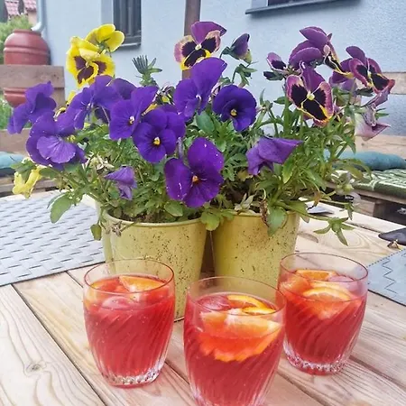 Goscinne Art- Dworek Kudowa-Zdrój