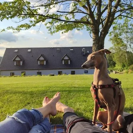 Goscinne Art- Dworek