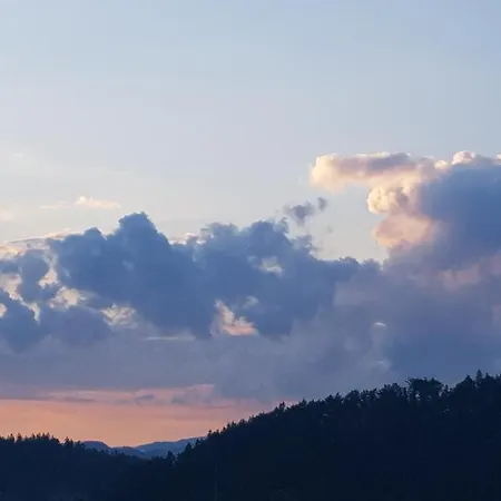 Bed & Breakfast Goscinne Art- Dworek 3*