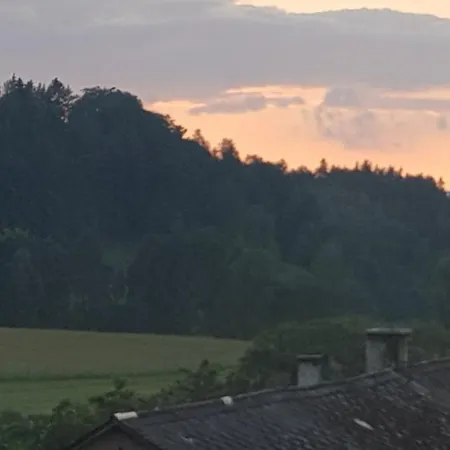 Bed & Breakfast Goscinne Art- Dworek Kudowa Zdroj