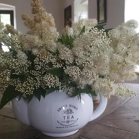 Alojamento de Acomodação e Pequeno-almoço Goscinne Art- Dworek 3*