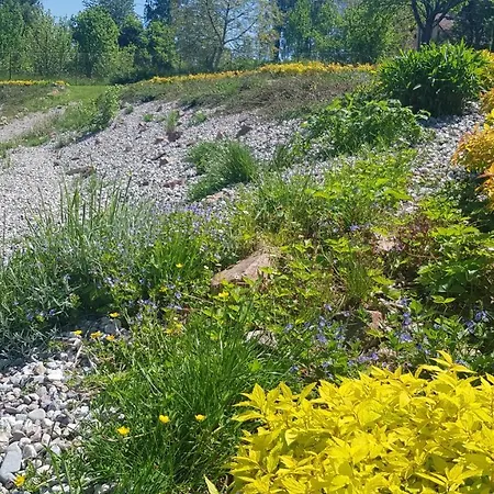 Bed & Breakfast Goscinne Art- Dworek