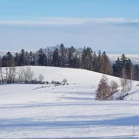 Goscinne Art- Dworek 3*