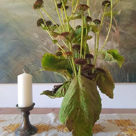 Alojamento de Acomodação e Pequeno-almoço Goscinne Art- Dworek 3*