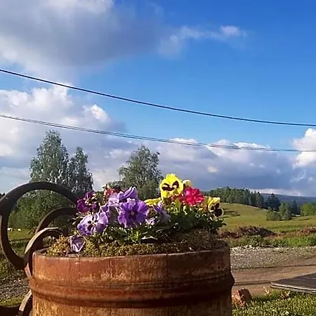 Goscinne Art- Dworek Bed & Breakfast