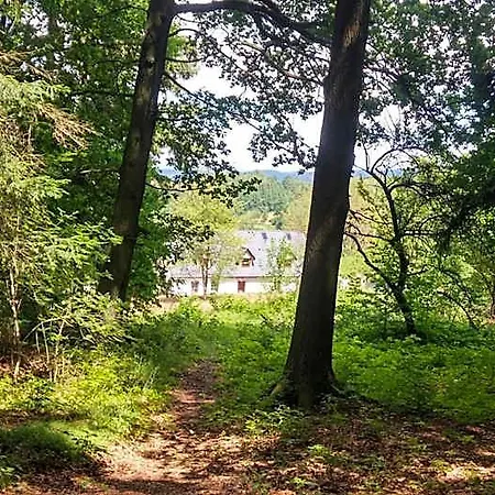 Goscinne Art- Dworek 3* Kudowa-Zdrój