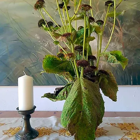 Bed & Breakfast Goscinne Art- Dworek Kudowa Zdroj