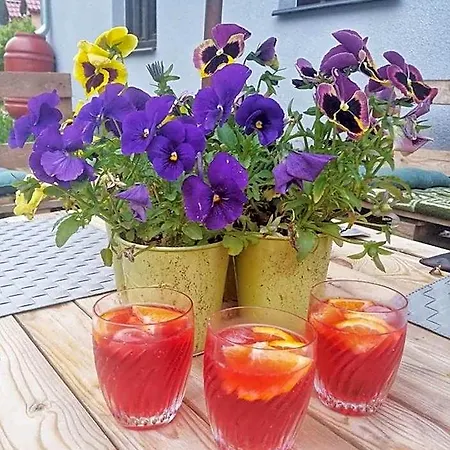 Bed & Breakfast Goscinne Art- Dworek Kudowa Zdroj
