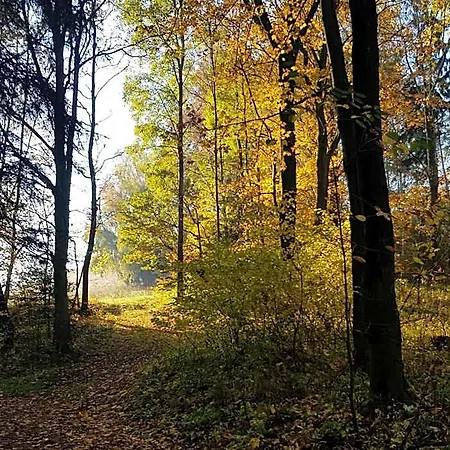 Goscinne Art- Dworek Bed & Breakfast Kudowa-Zdrój