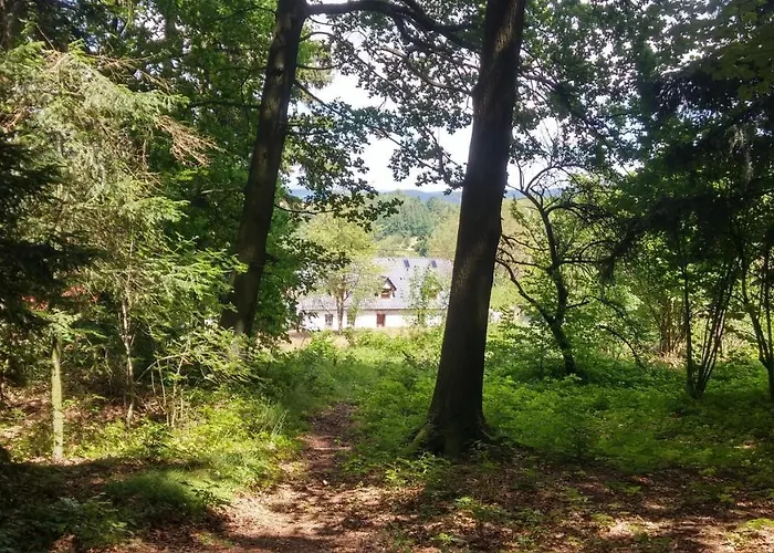 Goscinne Art- Dworek 3*