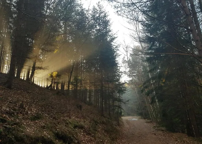 Bed & Breakfast Goscinne Art- Dworek 3*