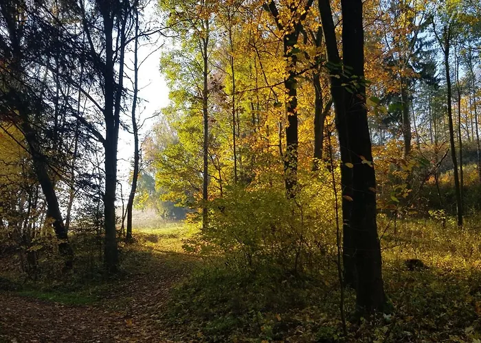 Goscinne Art- Dworek Bed & Breakfast 3*