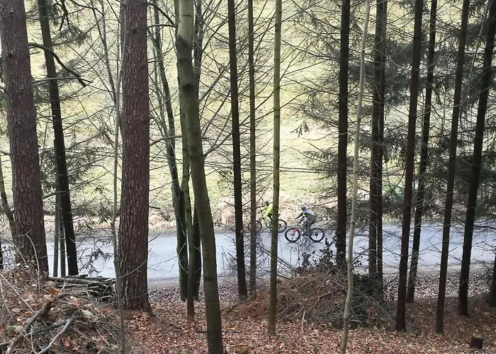 Goscinne Art- Dworek Bed & Breakfast 3*