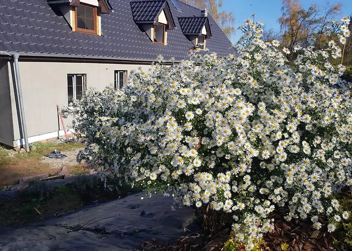 Goscinne Art- Dworek 3* Kudowa Zdroj