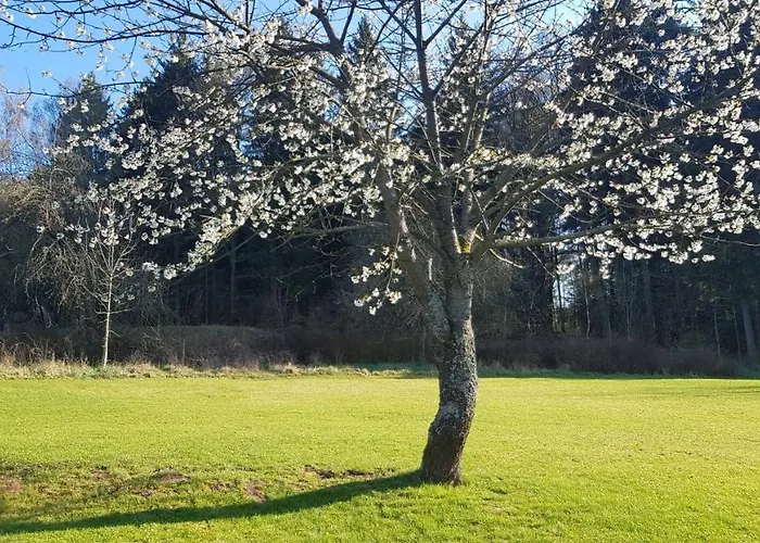 Goscinne Art- Dworek Bed & Breakfast Kudowa Zdroj