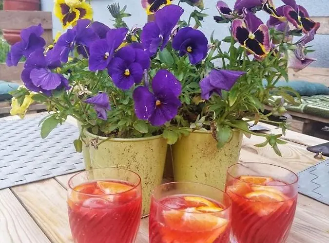 Goscinne Art- Dworek Kudowa Zdroj