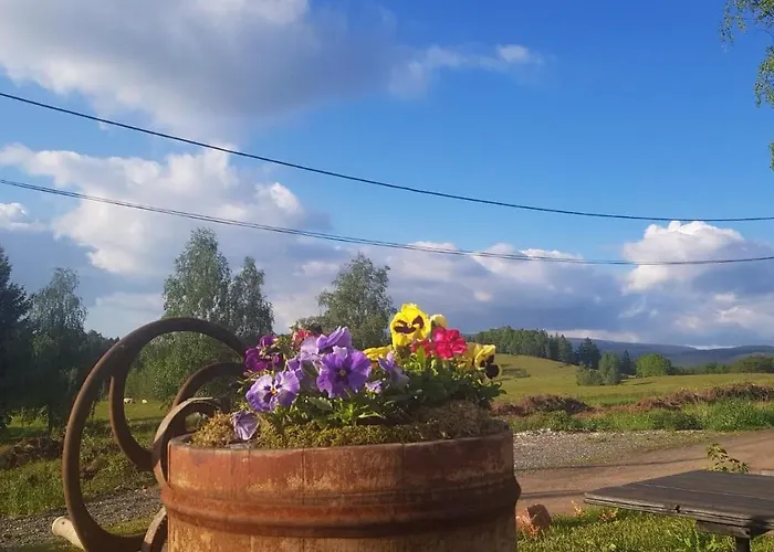 Goscinne Art- Dworek