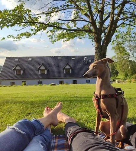 Goscinne Art- Dworek