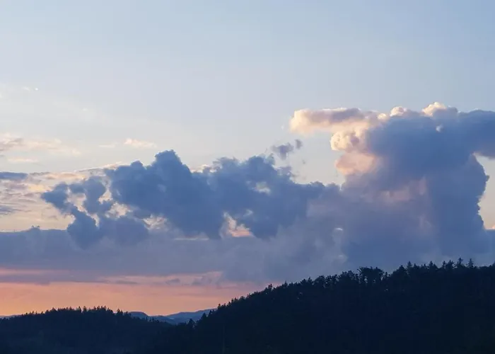 Bed & Breakfast Goscinne Art- Dworek 3*