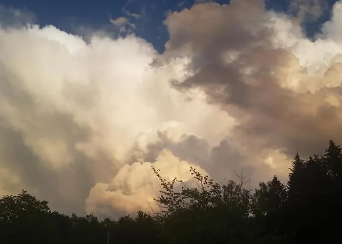 ベッド・アンド・ブレックファスト Goscinne Art- Dworek 3*