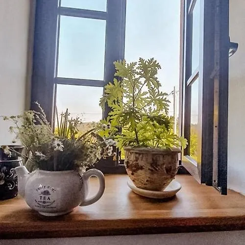 Goscinne Art- Dworek