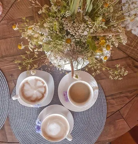 Bed & Breakfast Goscinne Art- Dworek 3*