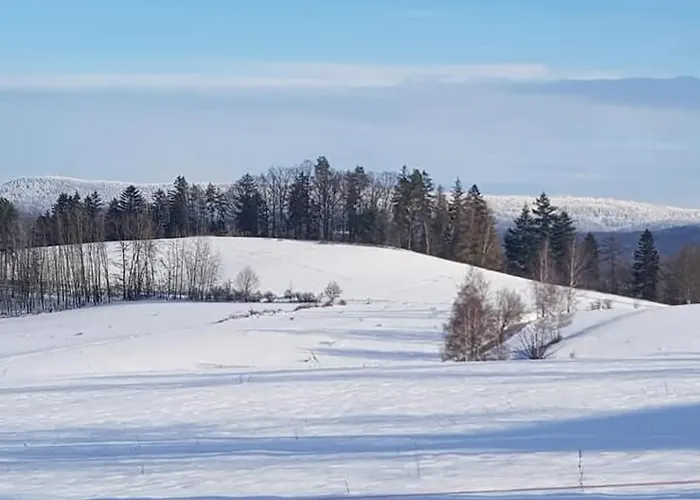 Goscinne Art- Dworek 3*