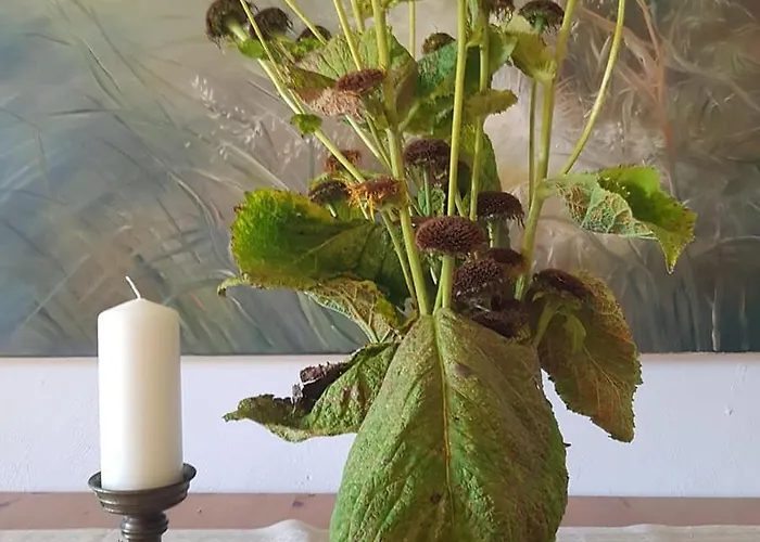 Bed & Breakfast Goscinne Art- Dworek 3*